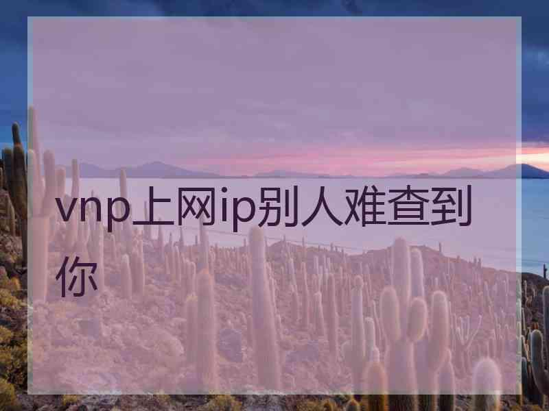 vnp上网ip别人难查到你