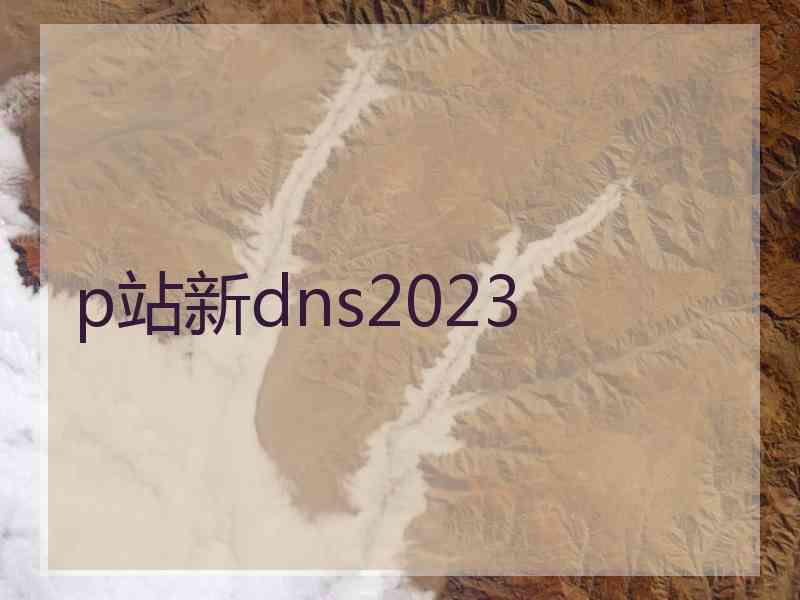 p站新dns2023