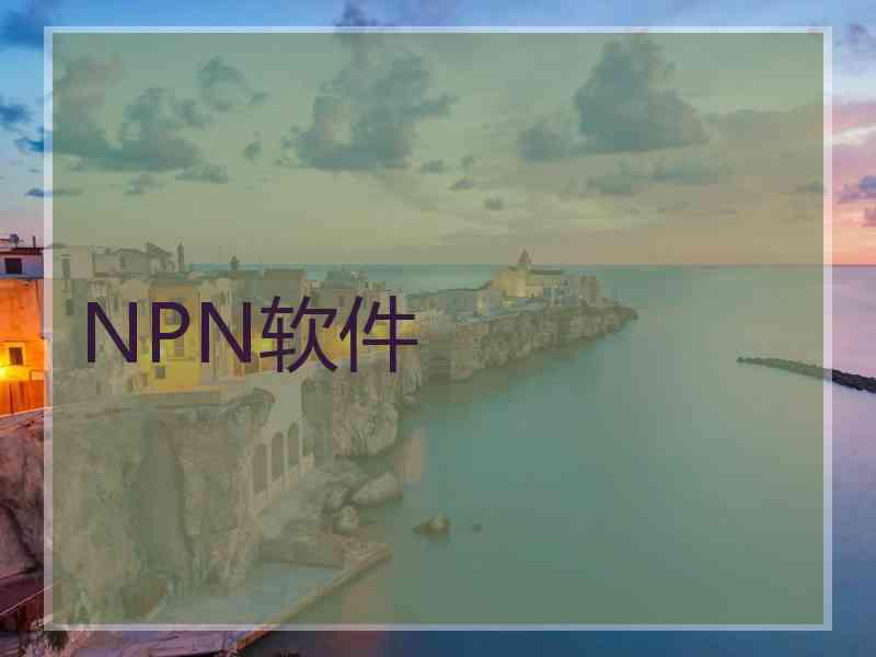 NPN软件