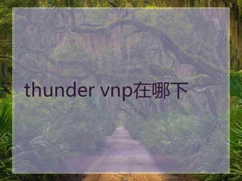 thunder vnp在哪下
