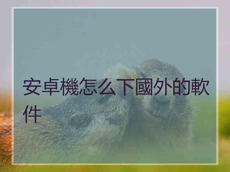 安卓機怎么下國外的軟件