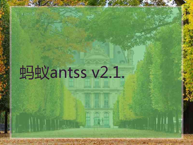 蚂蚁antss v2.1.