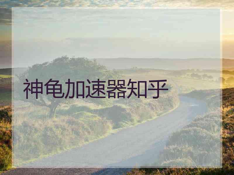 神龟加速器知乎
