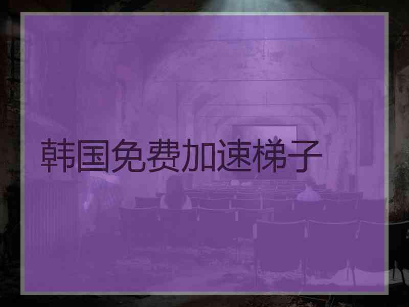 韩国免费加速梯子