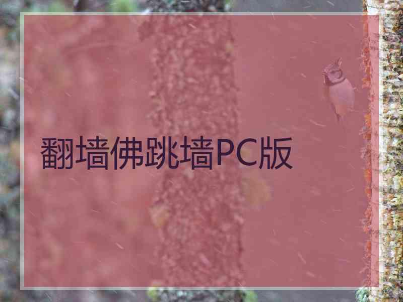 翻墙佛跳墙PC版