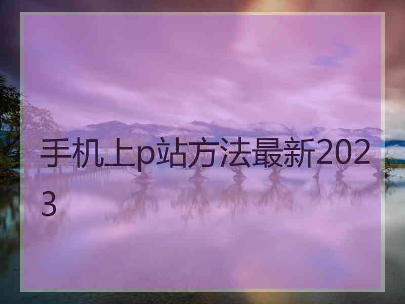 手机上p站方法最新2023