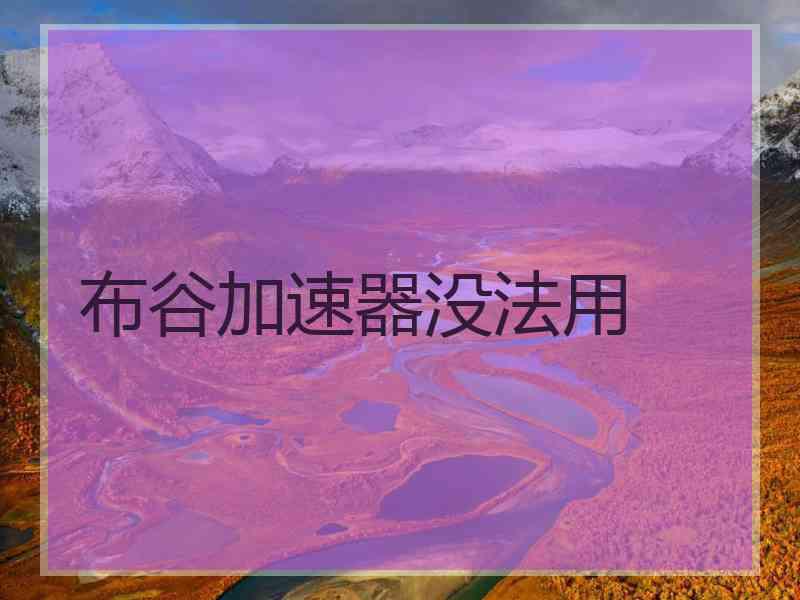 布谷加速器没法用