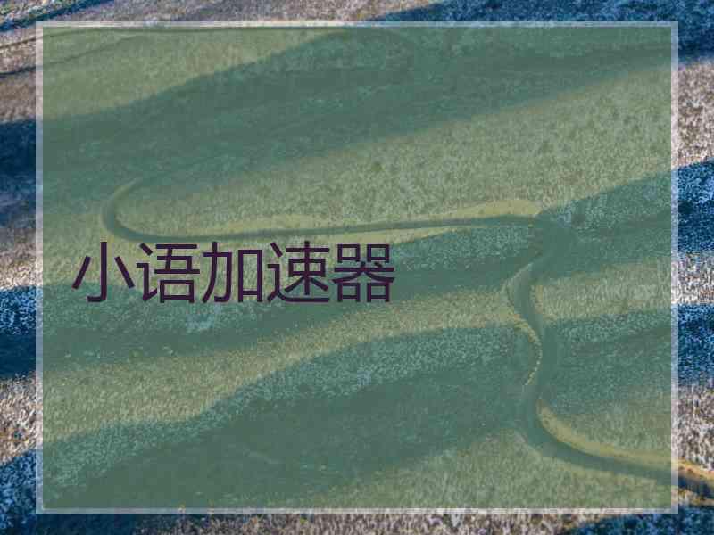 小语加速器