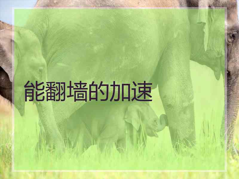 能翻墙的加速