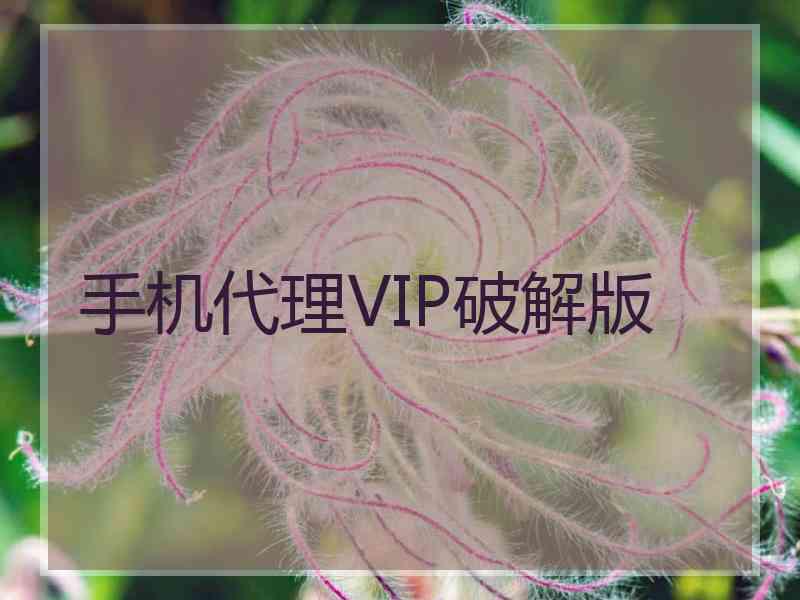 手机代理VIP破解版