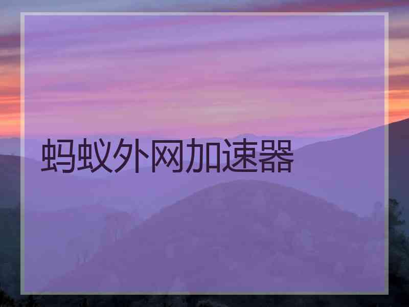 蚂蚁外网加速器