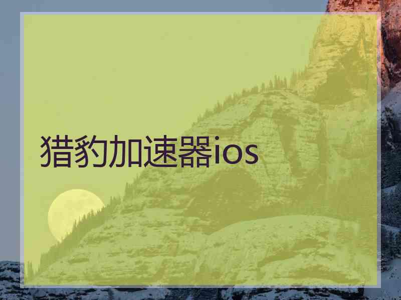 猎豹加速器ios