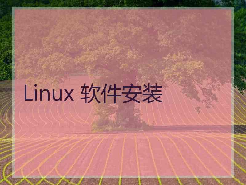 Linux 软件安装