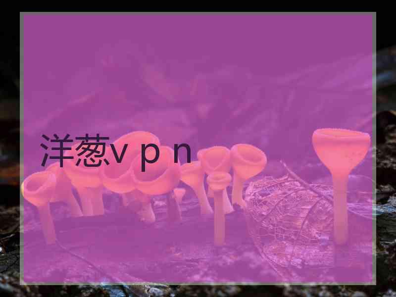 洋葱v p n