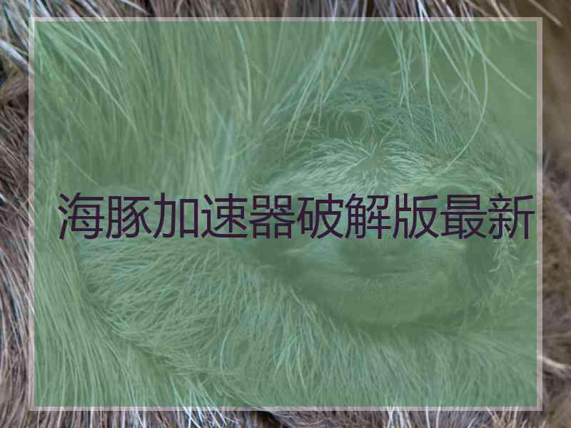 海豚加速器破解版最新