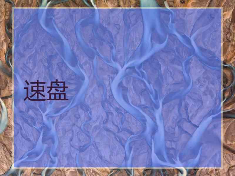 速盘