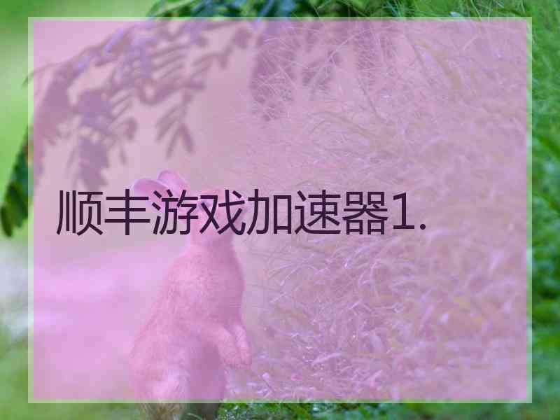 顺丰游戏加速器1.