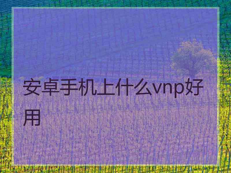 安卓手机上什么vnp好用