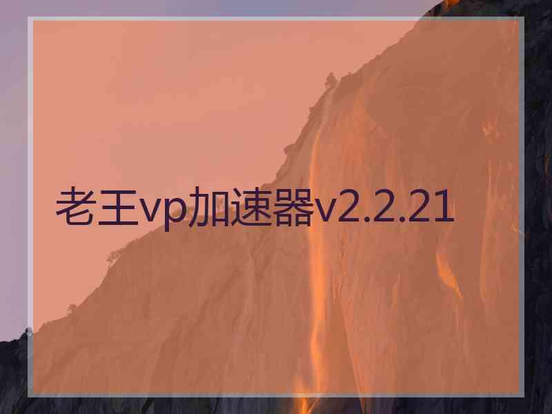 老王vp加速器v2.2.21