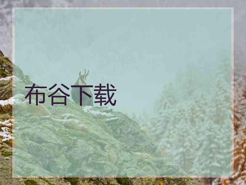 布谷下载