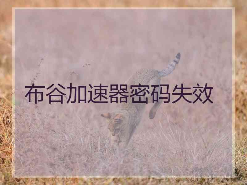 布谷加速器密码失效