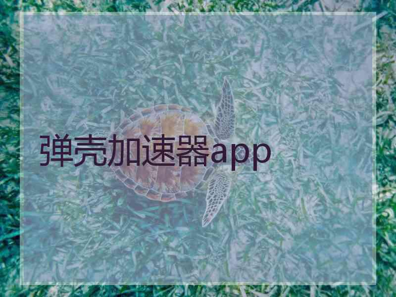 弹壳加速器app