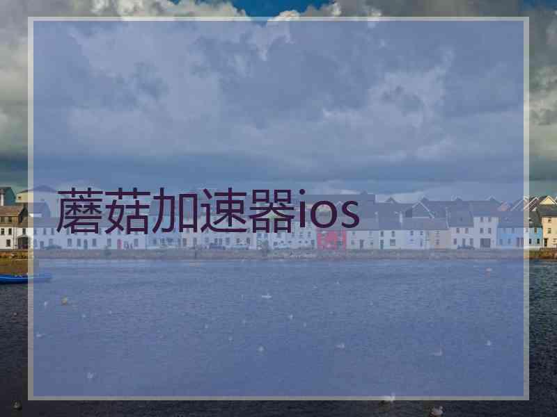 蘑菇加速器ios