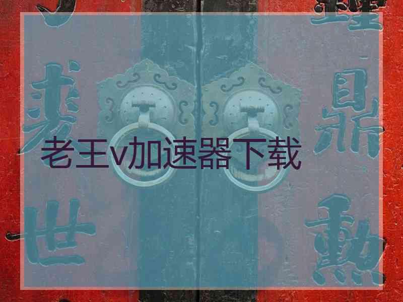 老王v加速器下载