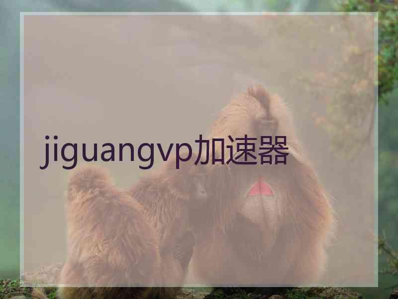 jiguangvp加速器