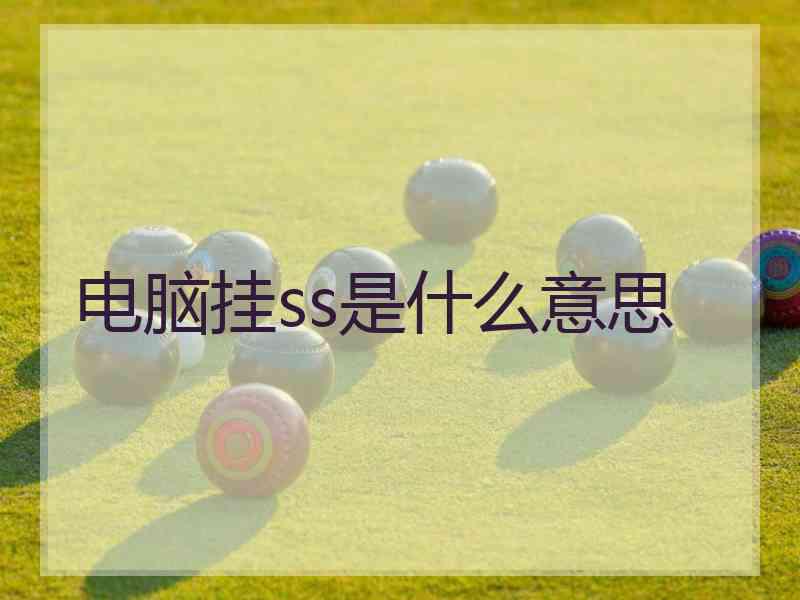 电脑挂ss是什么意思