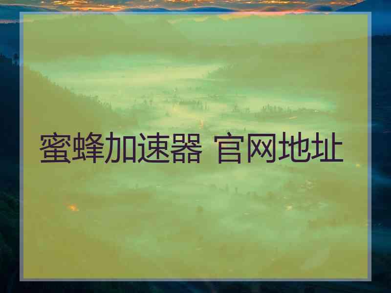 蜜蜂加速器 官网地址