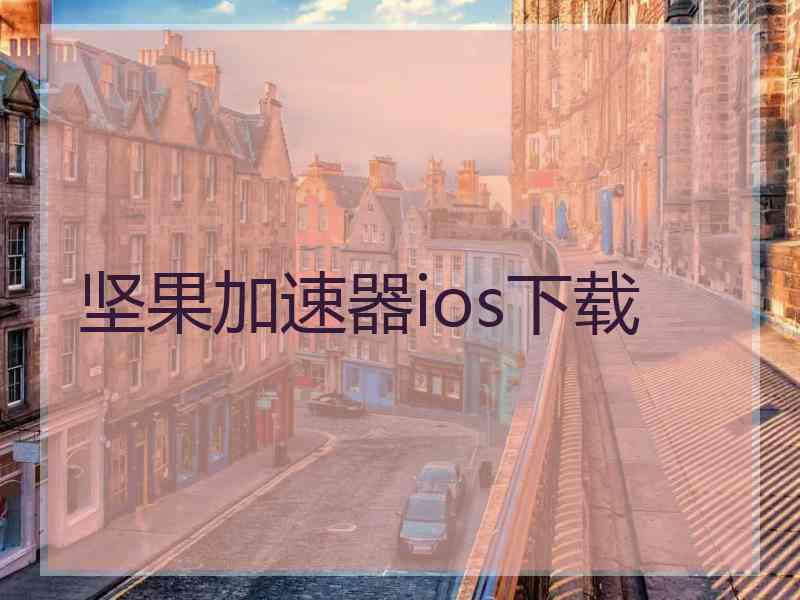 坚果加速器ios下载