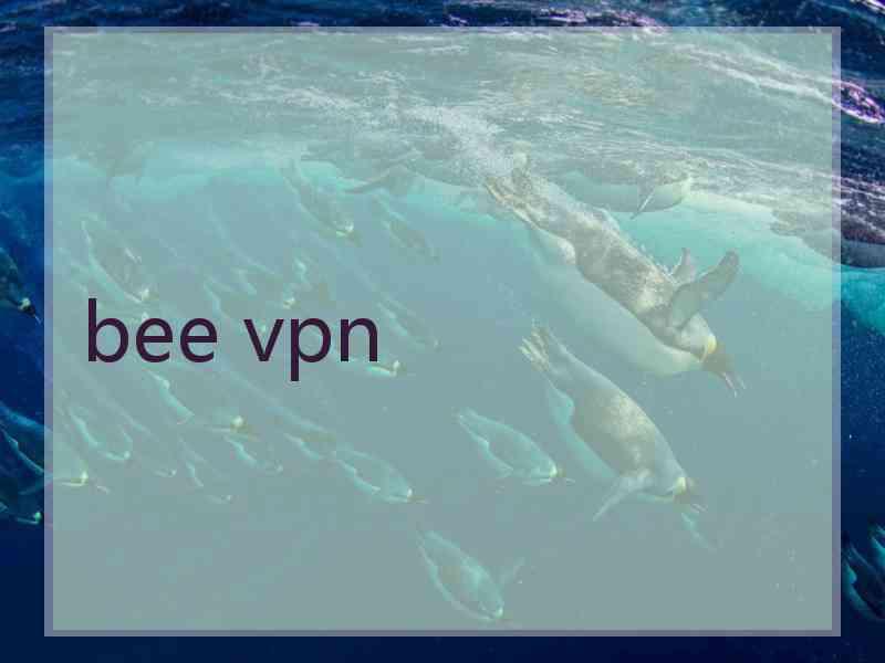 bee vpn